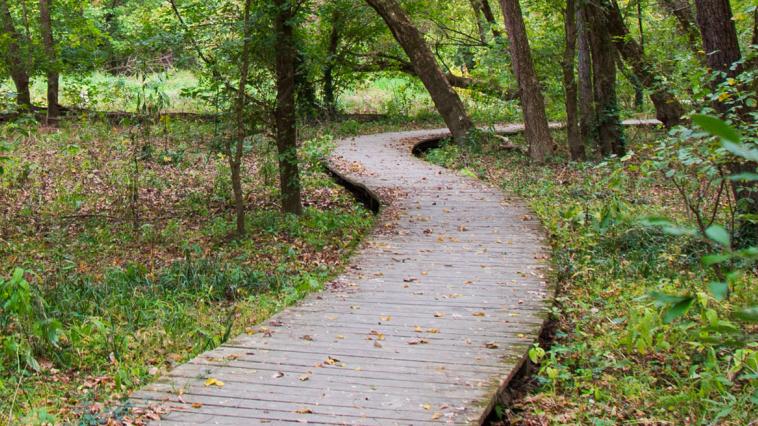 Great Parks of Hamilton County Funding — 2025 Ballot Measure